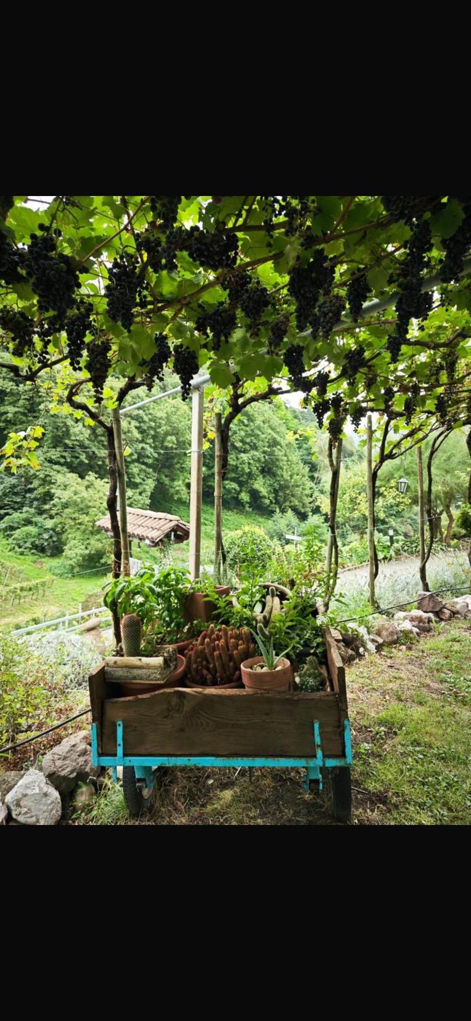 Agriturismo Valfraja Cembra Lisignago Luaran gambar